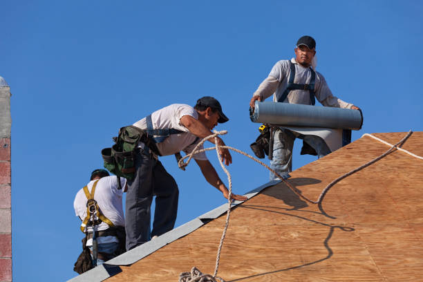 Best Shingle Roofing Installation  in Malmstrom Af, MT